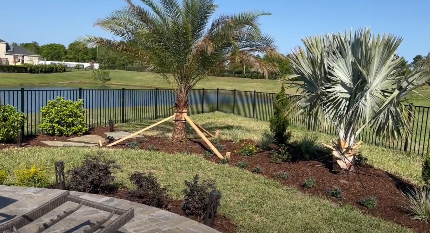 Complete backyard renovation featuring tropical landscaping and custom irrigation systems Backyard transformation with palm trees, wooden fencing, and tropical landscape design