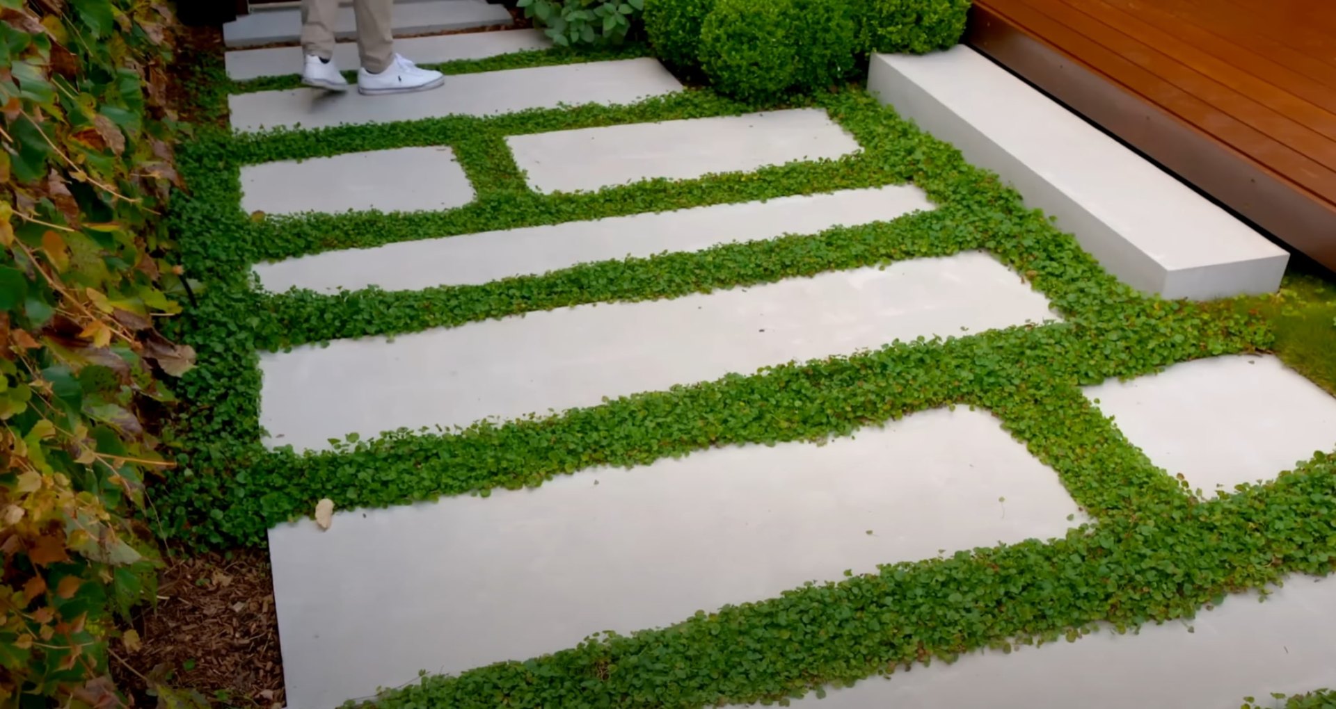 Contemporary hardscaping design with concrete pavers and low-maintenance ground cover Modern concrete steppers with ground cover creating geometric landscape pattern