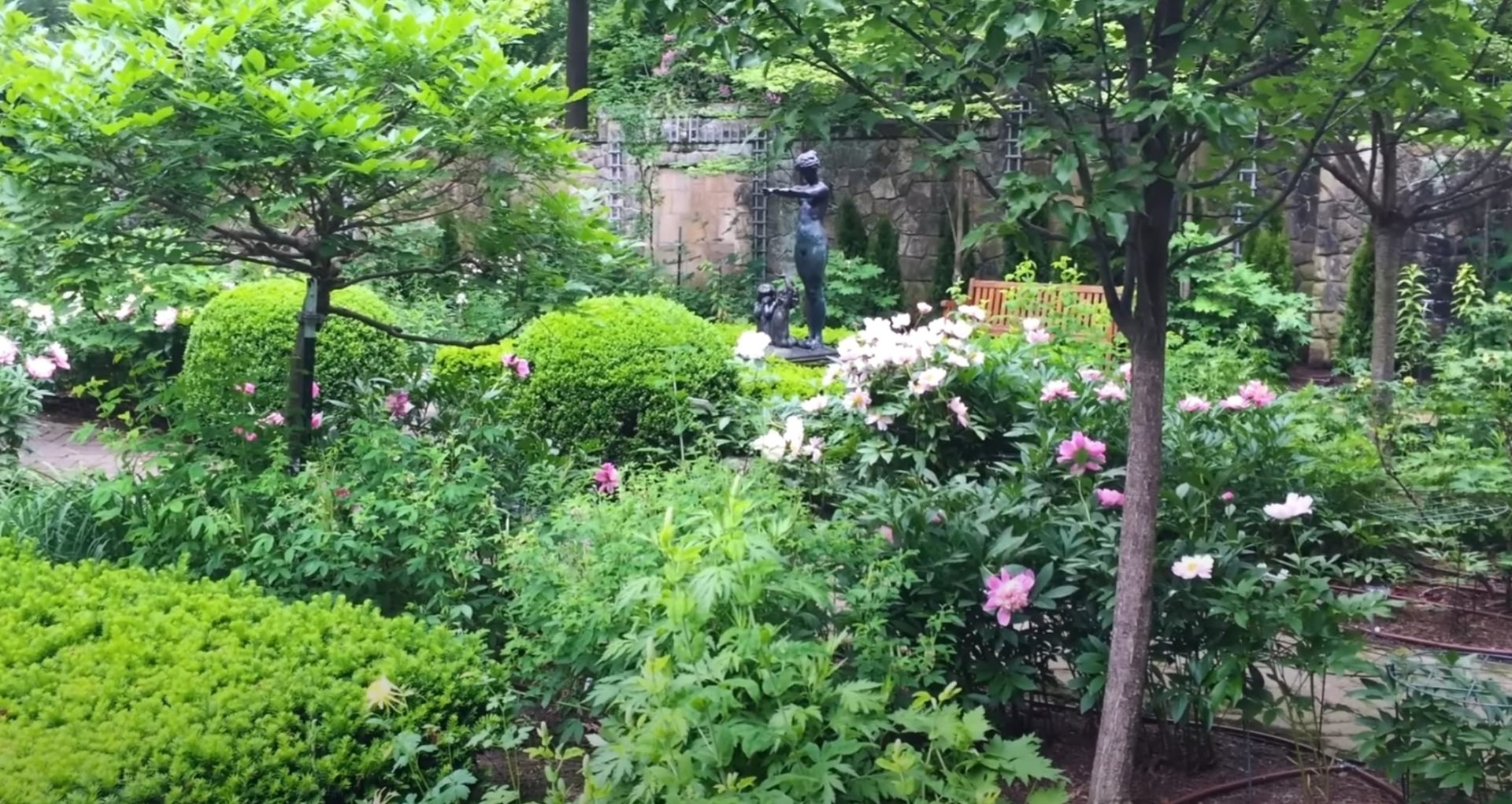 Lush garden landscape with mature trees, flowering shrubs and well-maintained lawn